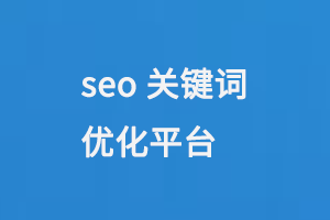 SEO關鍵詞優(yōu)化平臺